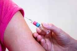 Univercells reçoit une subvention pour fournir des vaccins rougeole et rubéole abordables