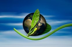 Formation EPM : « La Gestion Environnementale en 360°, pour l’intégrer dans la stratégie et l’opérationnel de son entreprise »
