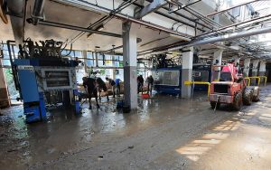 Inondations de juillet 2021 : du désastre au rebond industriel de l'entreprise X-Pack